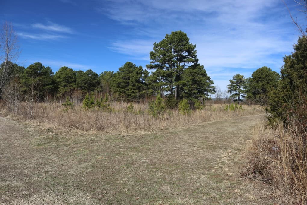 Hobby Farm and 28 Acres in the Ozarks For Sale
