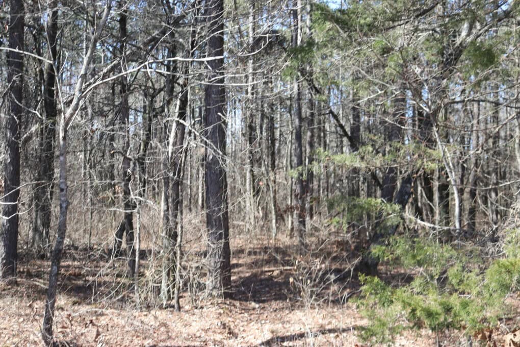 Hobby Farm and 28 Acres in the Ozarks For Sale