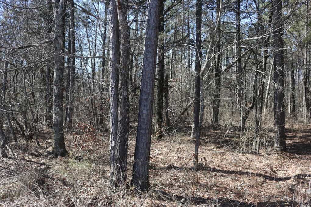 Hobby Farm and 28 Acres in the Ozarks For Sale