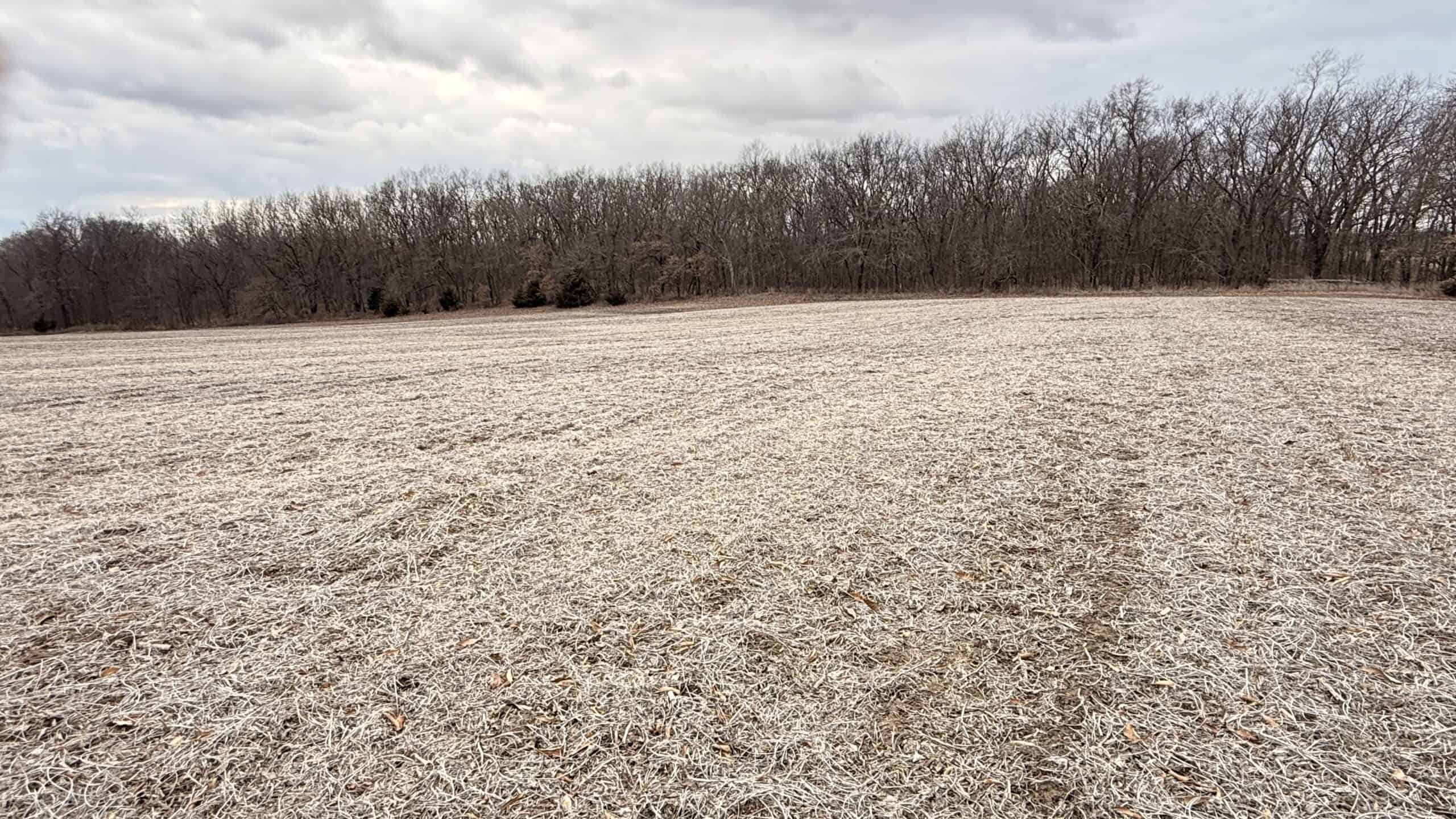Income Producing Property In Northwest Missouri