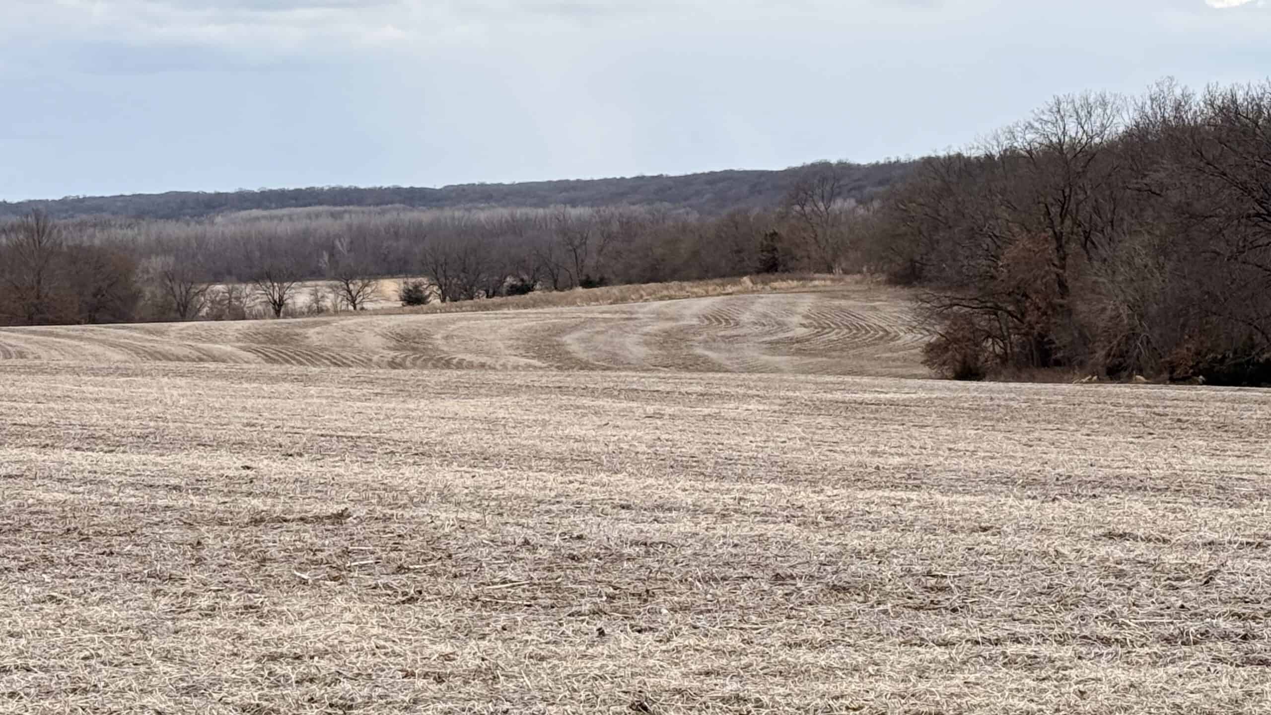 Income Producing Property In Northwest Missouri
