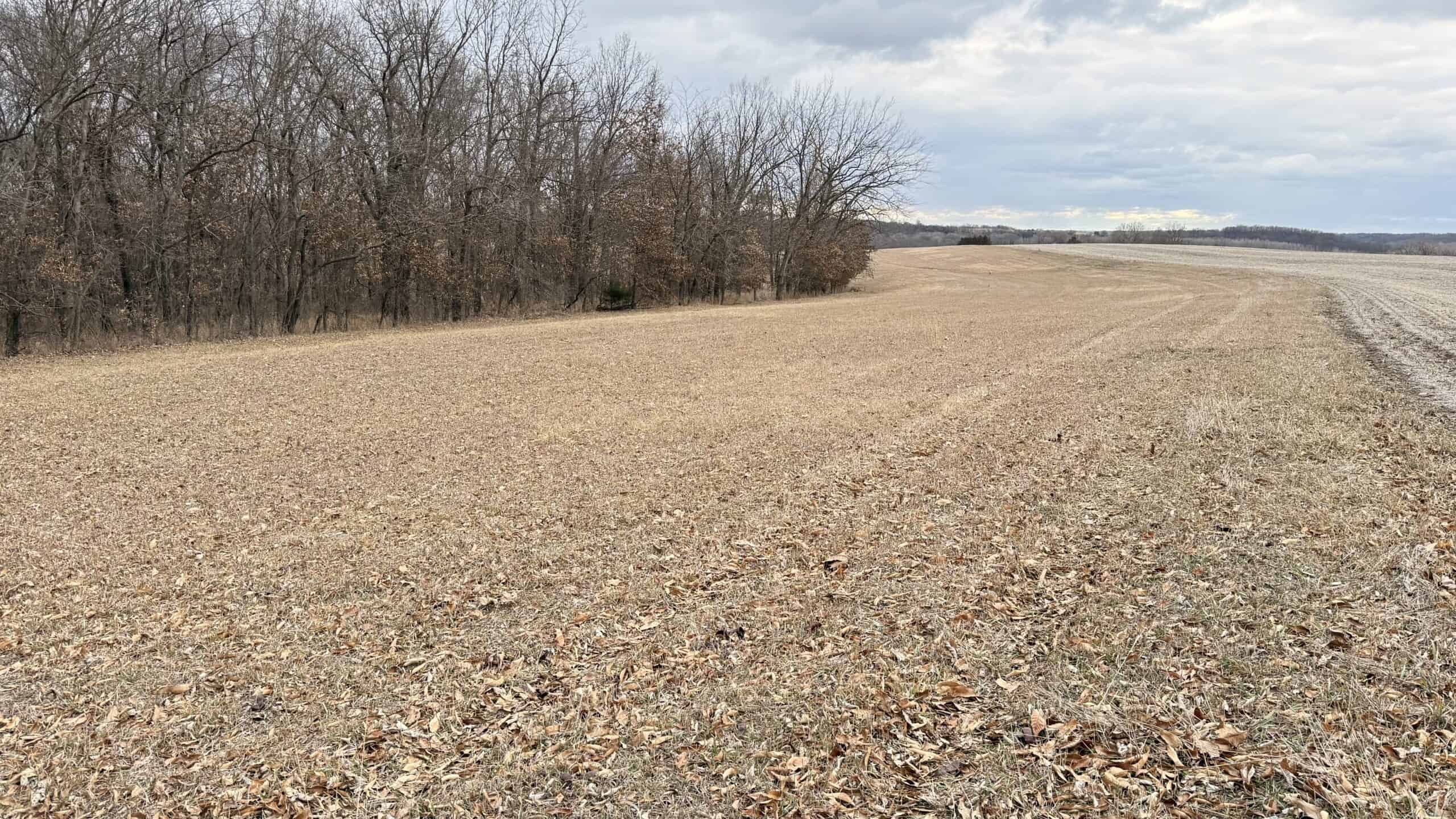 Income Producing Property In Northwest Missouri