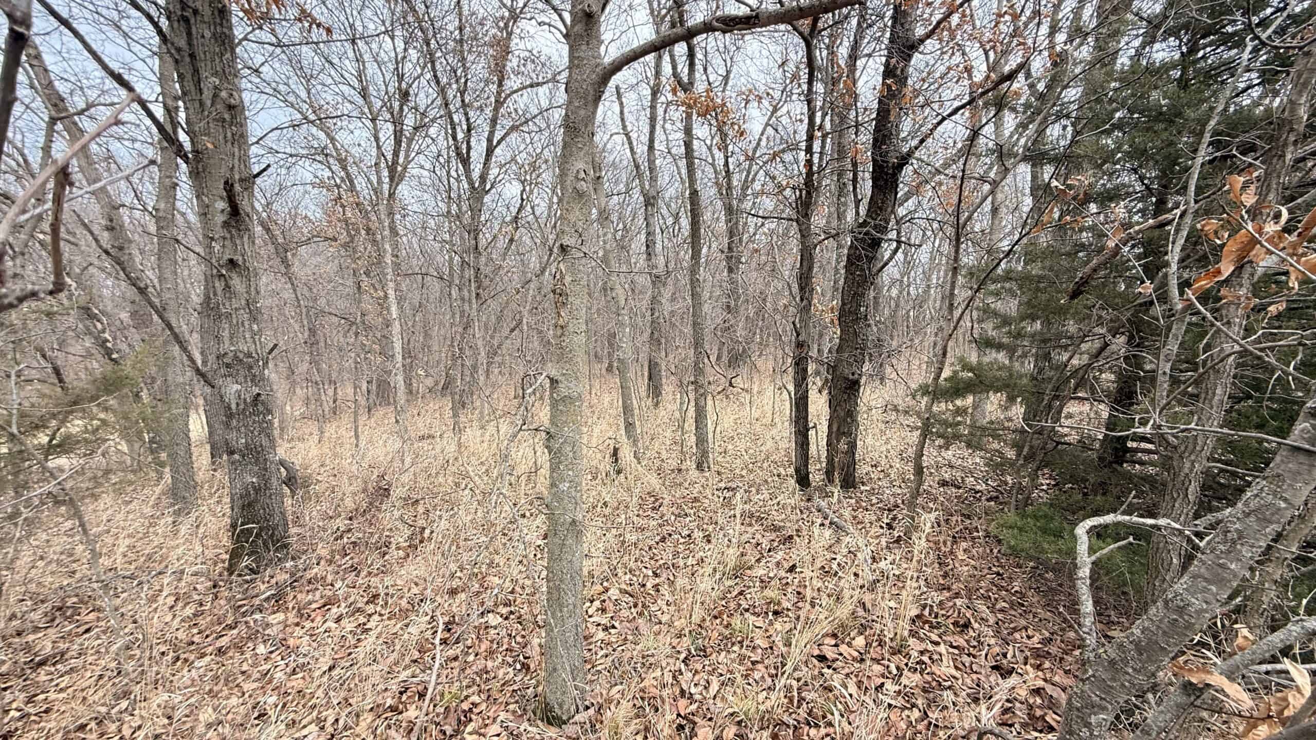Income Producing Property In Northwest Missouri