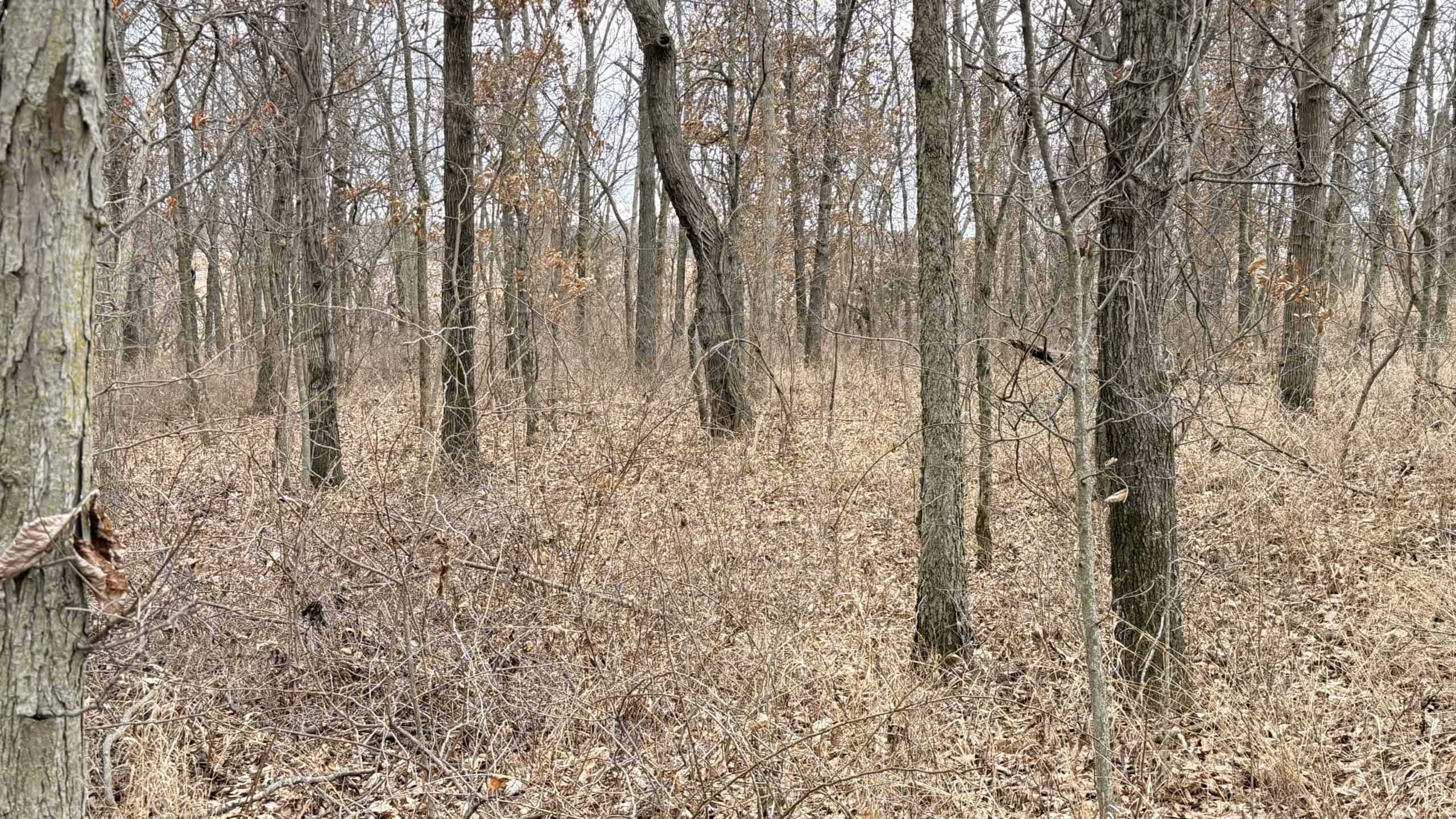 Income Producing Property In Northwest Missouri