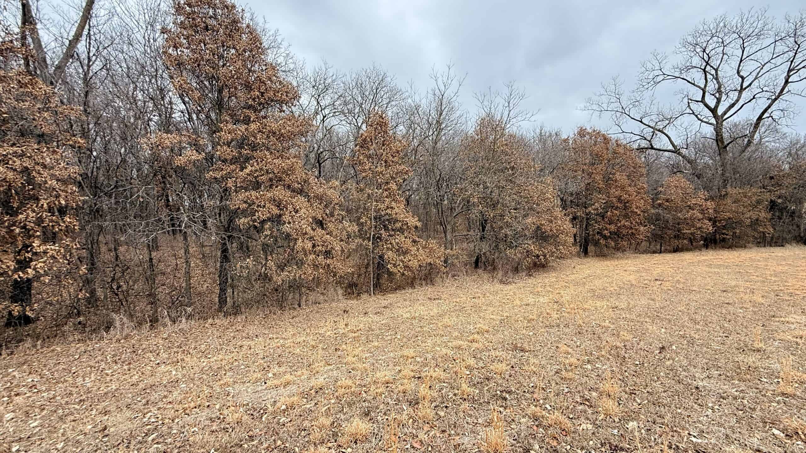 Income Producing Property In Northwest Missouri