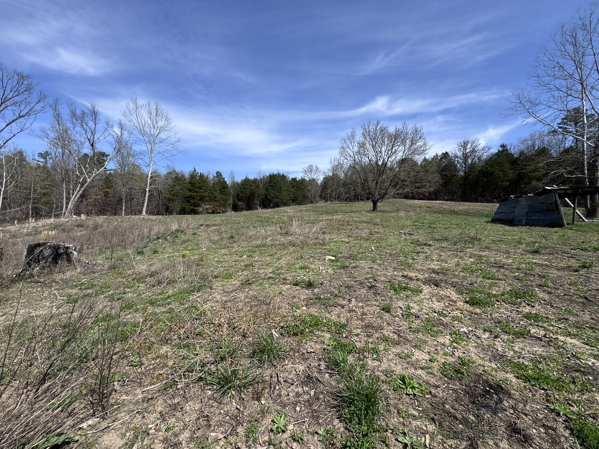 LAND WITH OFF-GRID CABIN FOR SALE IN NORTH CENTRAL ARKANSAS