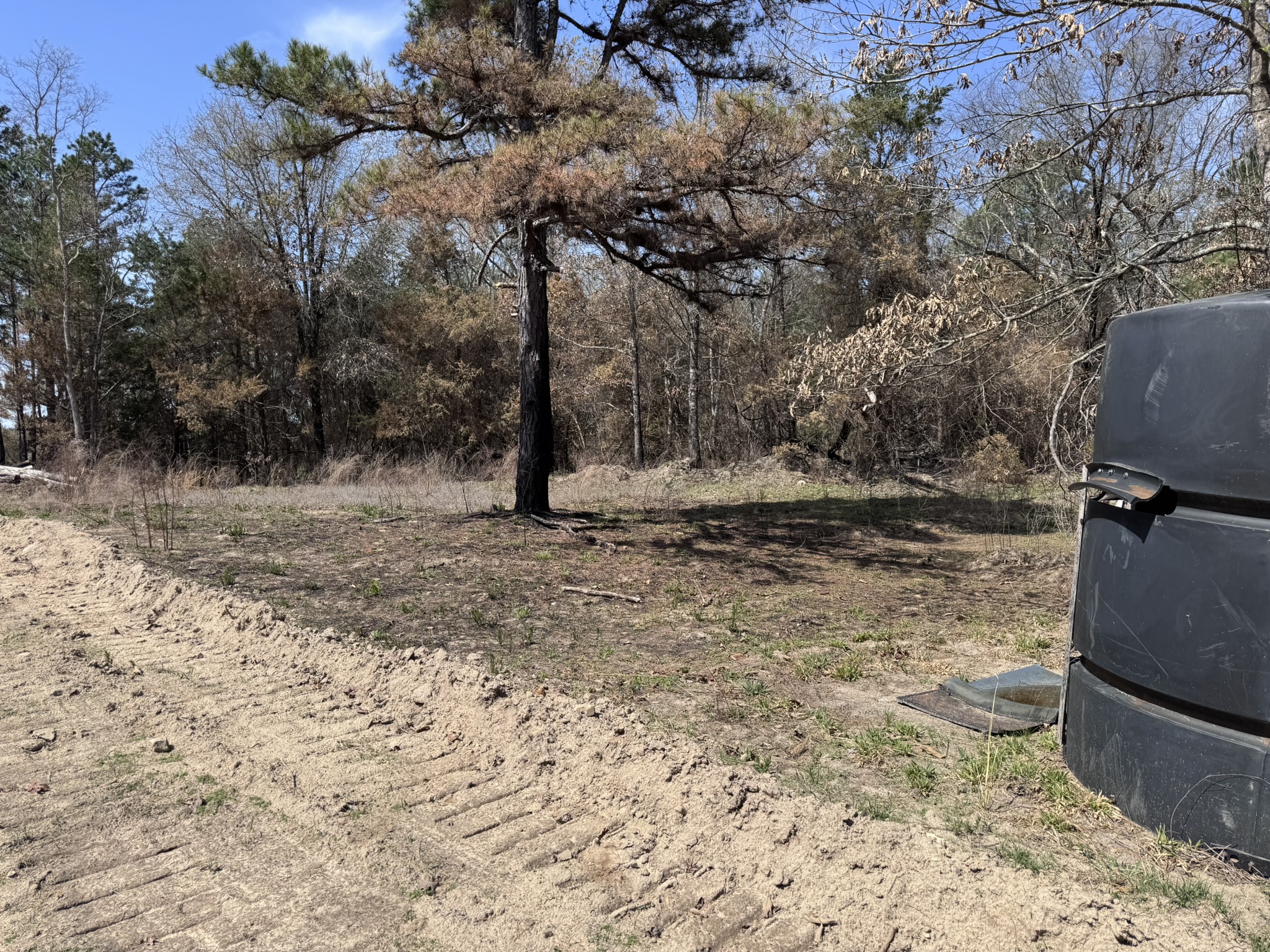 LAND WITH OFF-GRID CABIN FOR SALE IN NORTH CENTRAL ARKANSAS