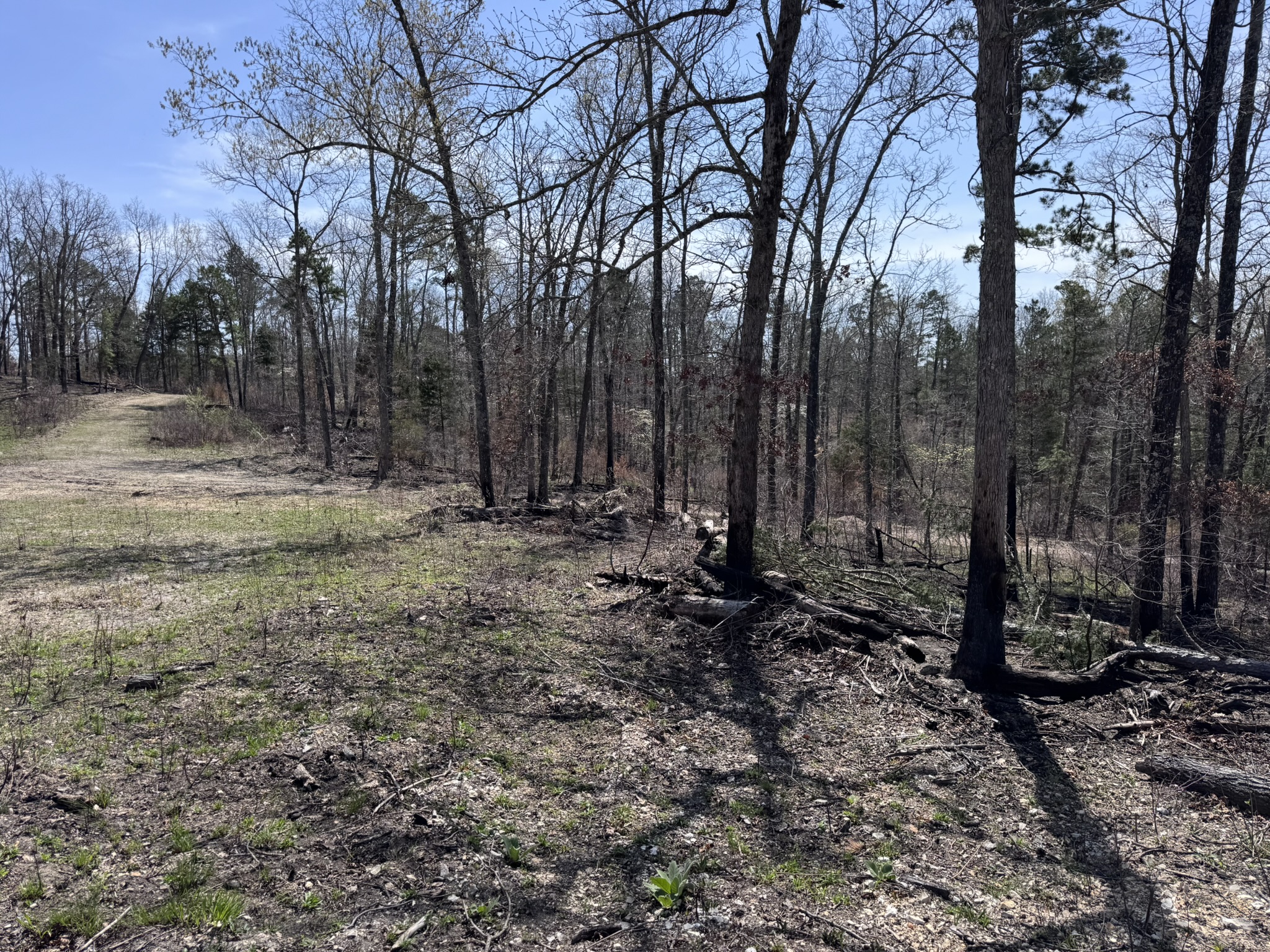 LAND WITH OFF-GRID CABIN FOR SALE IN NORTH CENTRAL ARKANSAS