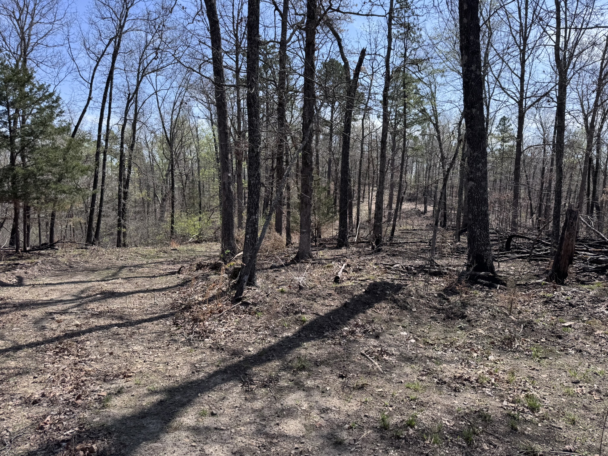 LAND WITH OFF-GRID CABIN FOR SALE IN NORTH CENTRAL ARKANSAS