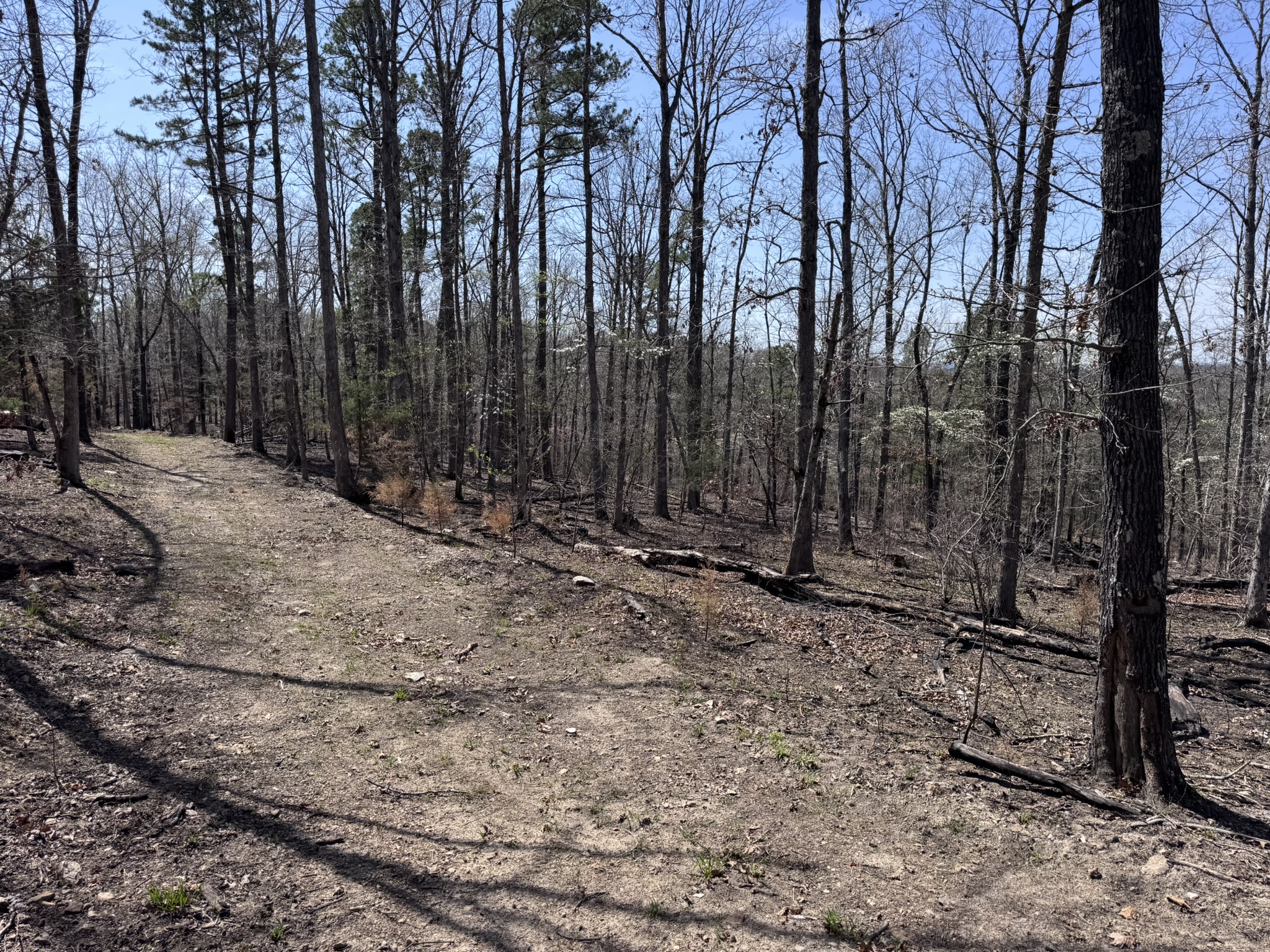 LAND WITH OFF-GRID CABIN FOR SALE IN NORTH CENTRAL ARKANSAS