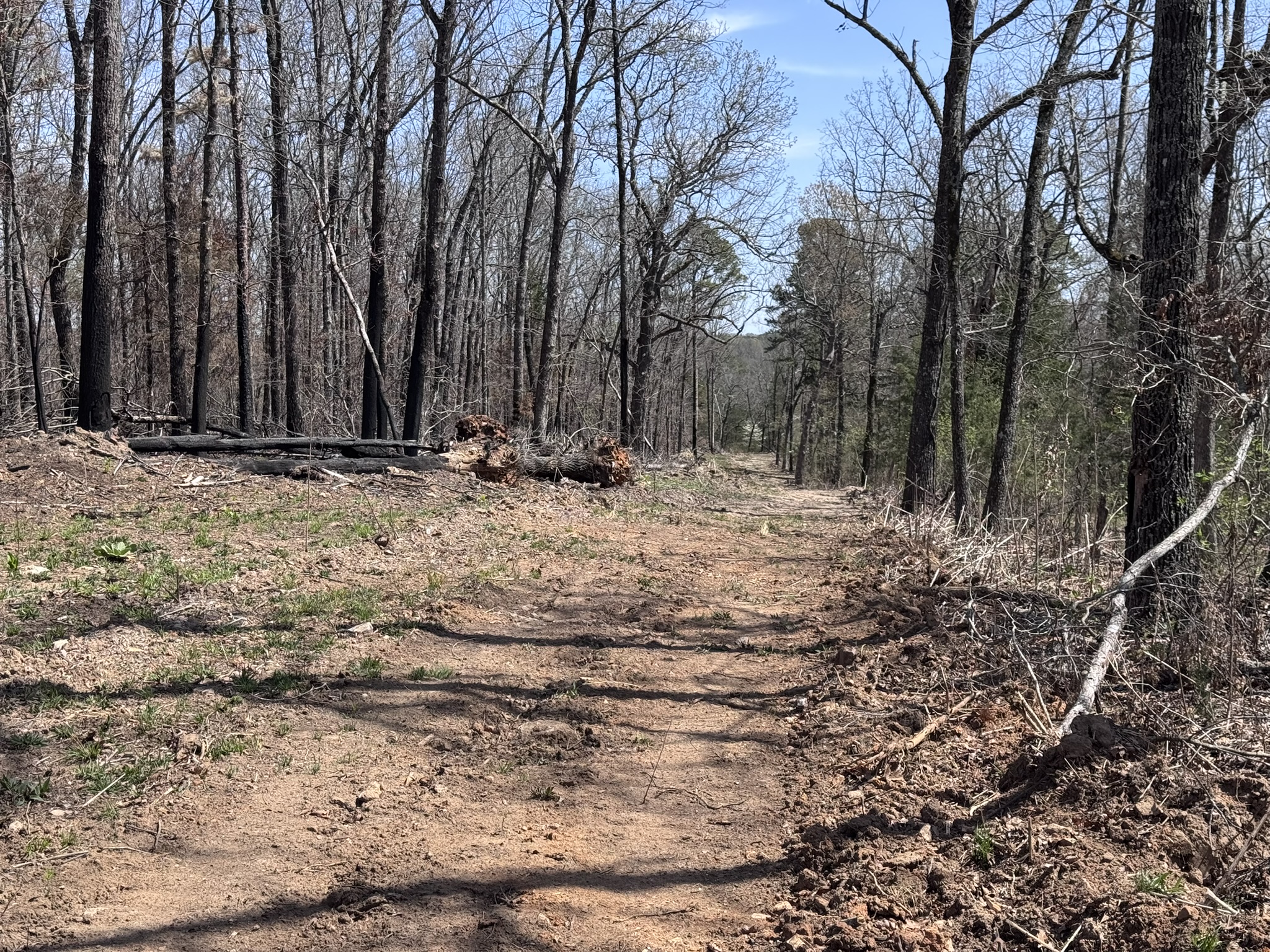 LAND WITH OFF-GRID CABIN FOR SALE IN NORTH CENTRAL ARKANSAS