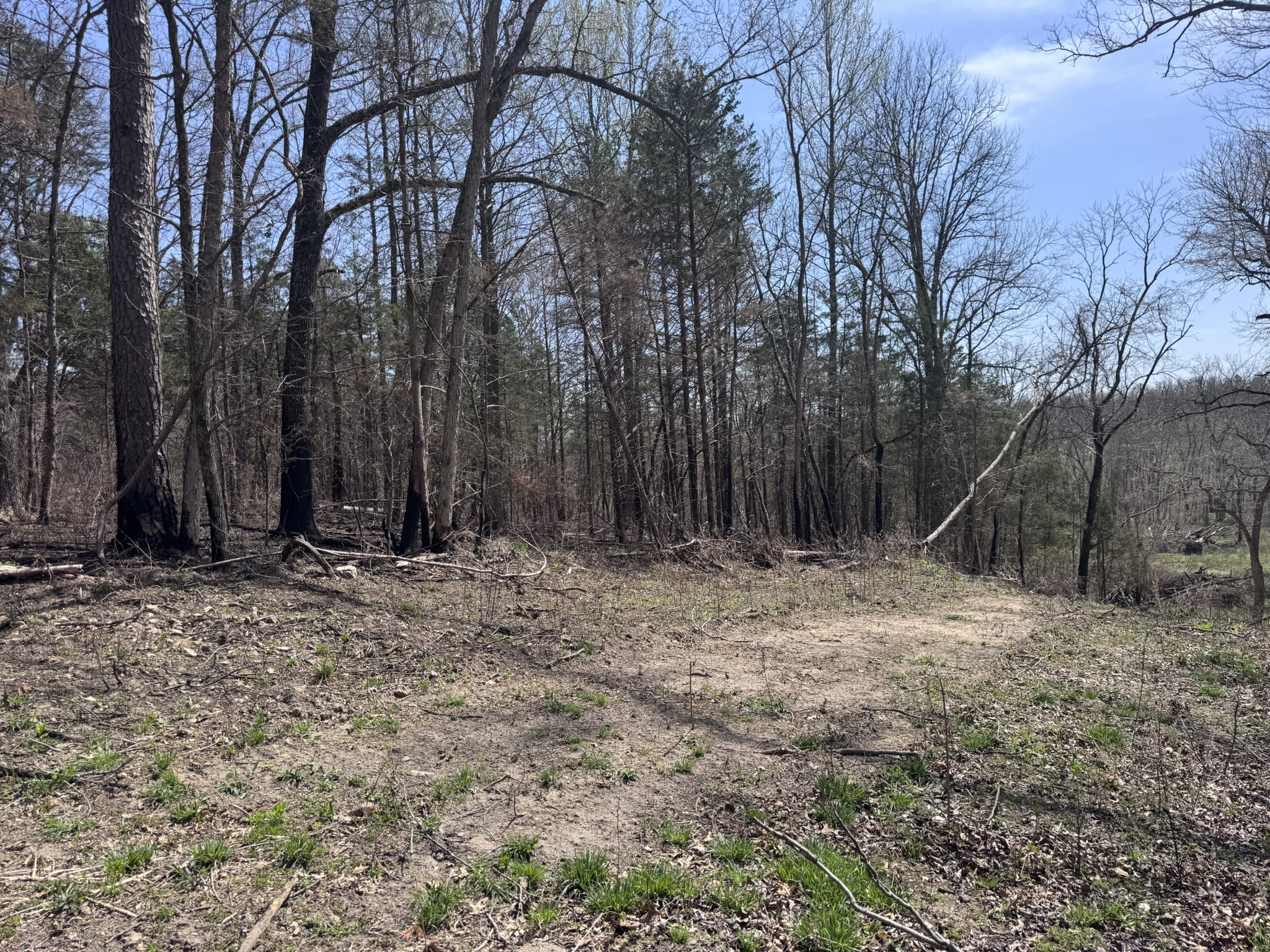 LAND WITH OFF-GRID CABIN FOR SALE IN NORTH CENTRAL ARKANSAS