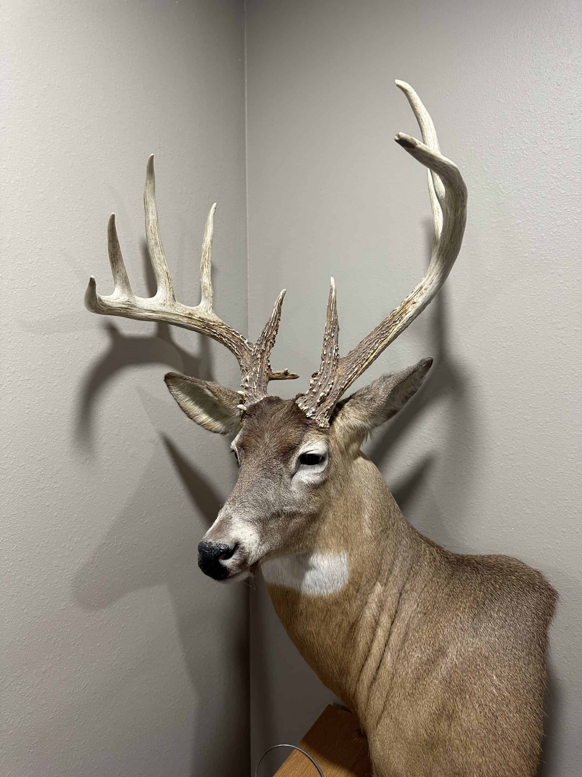 Premier Hunting Parcel in Clark County, Missouri