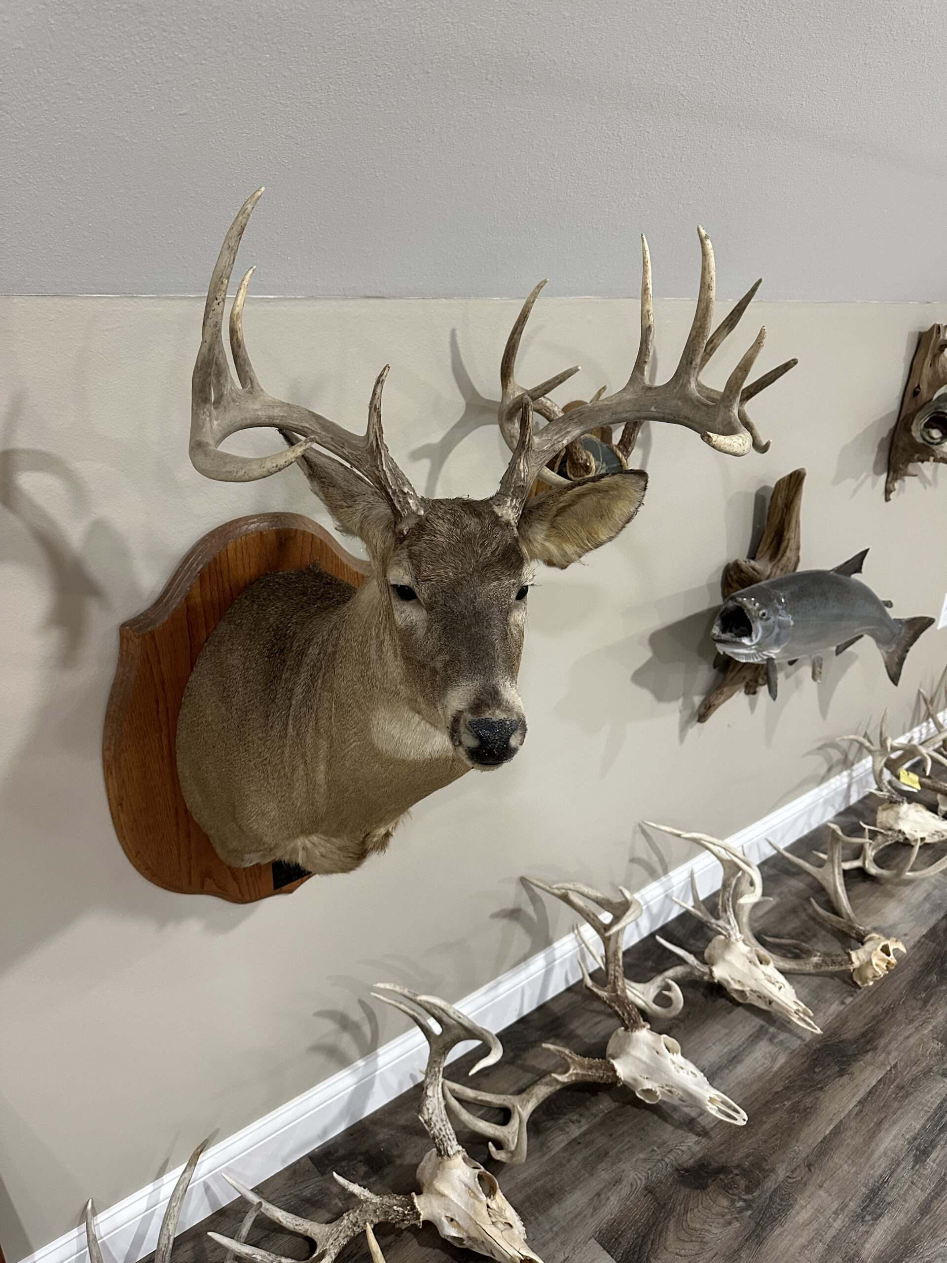 Premier Hunting Parcel in Clark County, Missouri