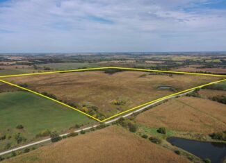 160 Acres m/l Iowa CRP/Hunting Farm