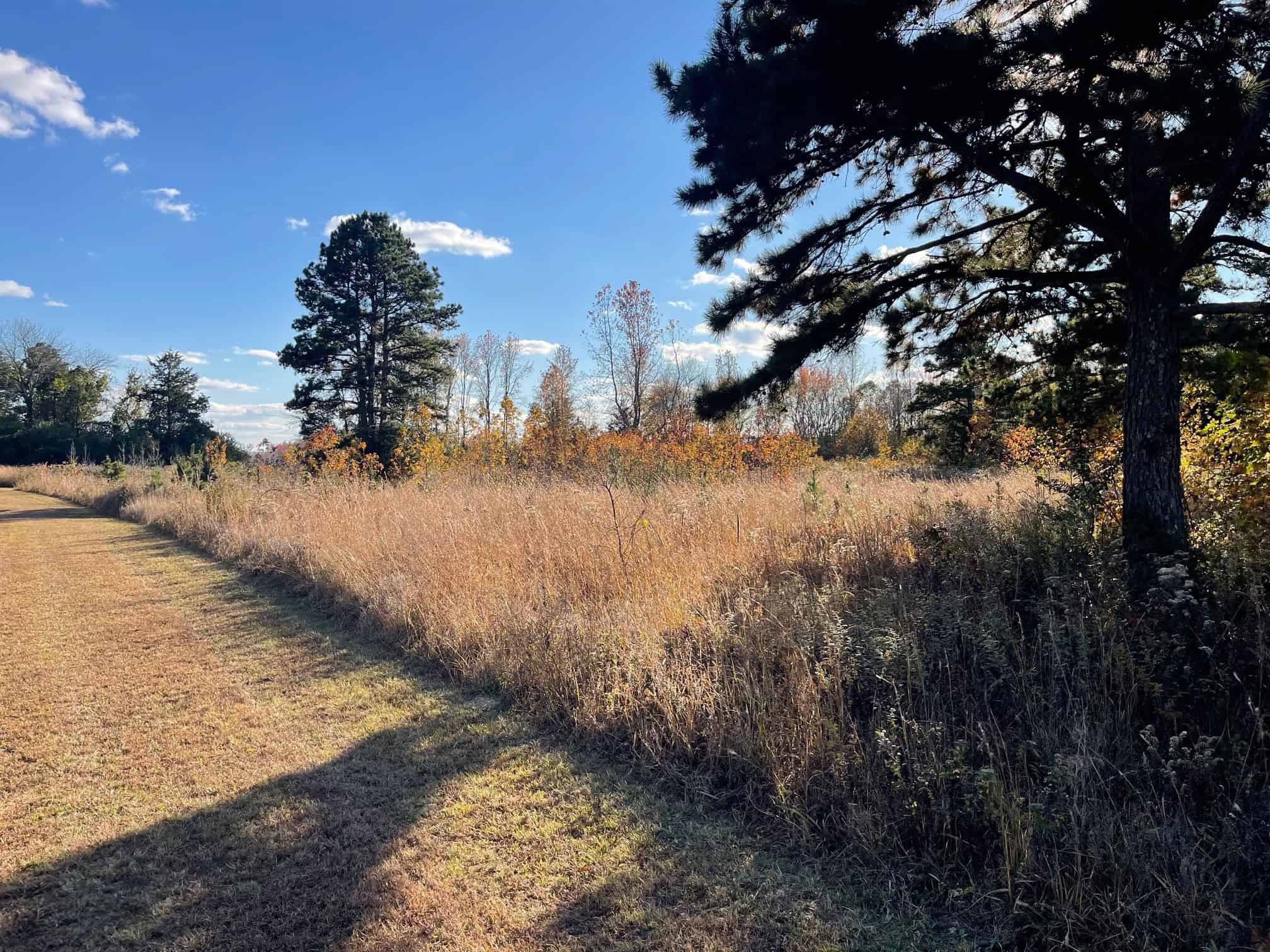 Hobby Farm and 28 Acres in the Ozarks For Sale