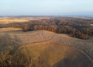 Monroe County 145 +/- Acres | Hunting & Recreational Farm