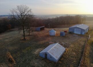 Monroe County 145 +/- Acres | Hunting & Recreational Farm