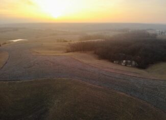 Monroe County 145 +/- Acres | Hunting & Recreational Farm