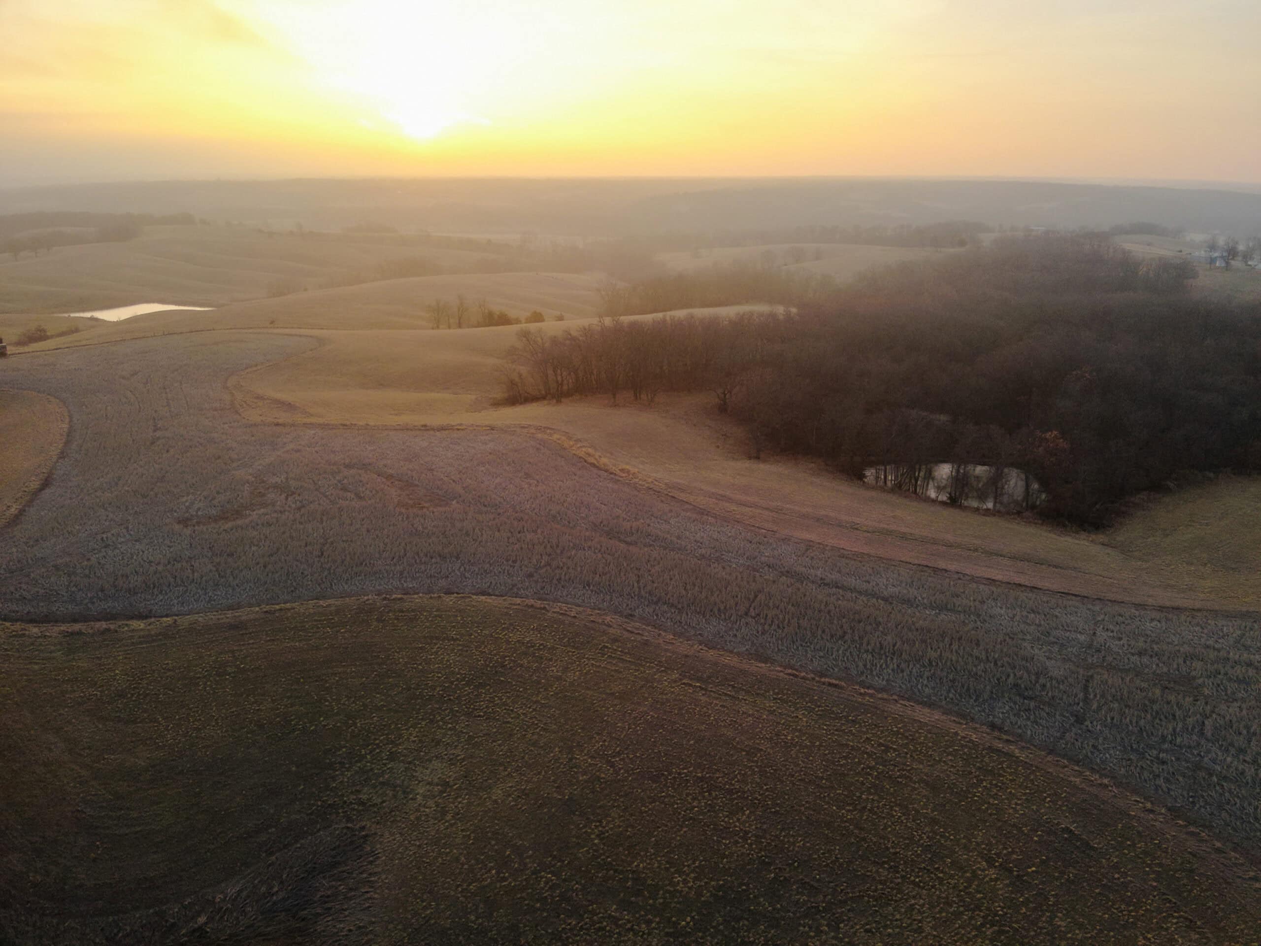 Monroe County 145 +/- Acres | Hunting & Recreational Farm