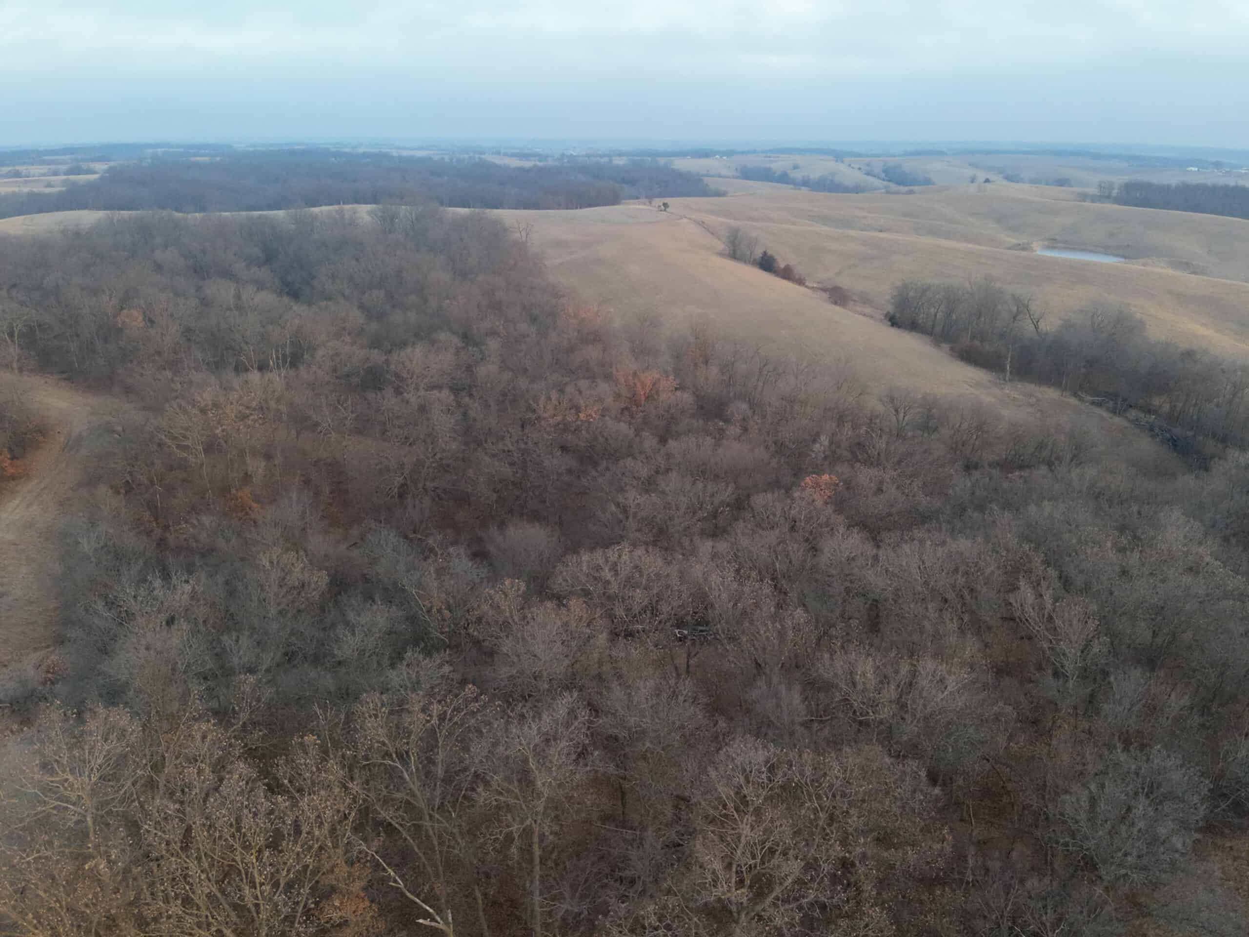 Monroe County 145 +/- Acres | Hunting & Recreational Farm