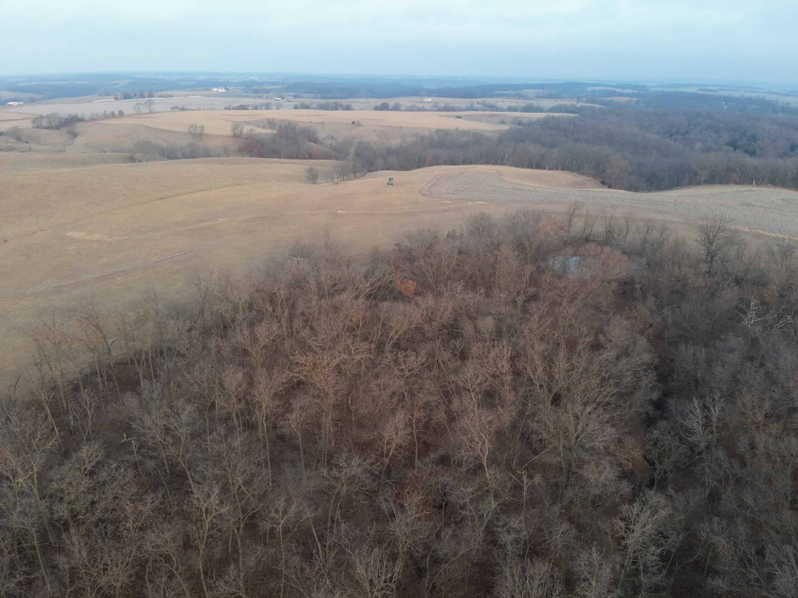 Monroe County 145 +/- Acres | Hunting & Recreational Farm