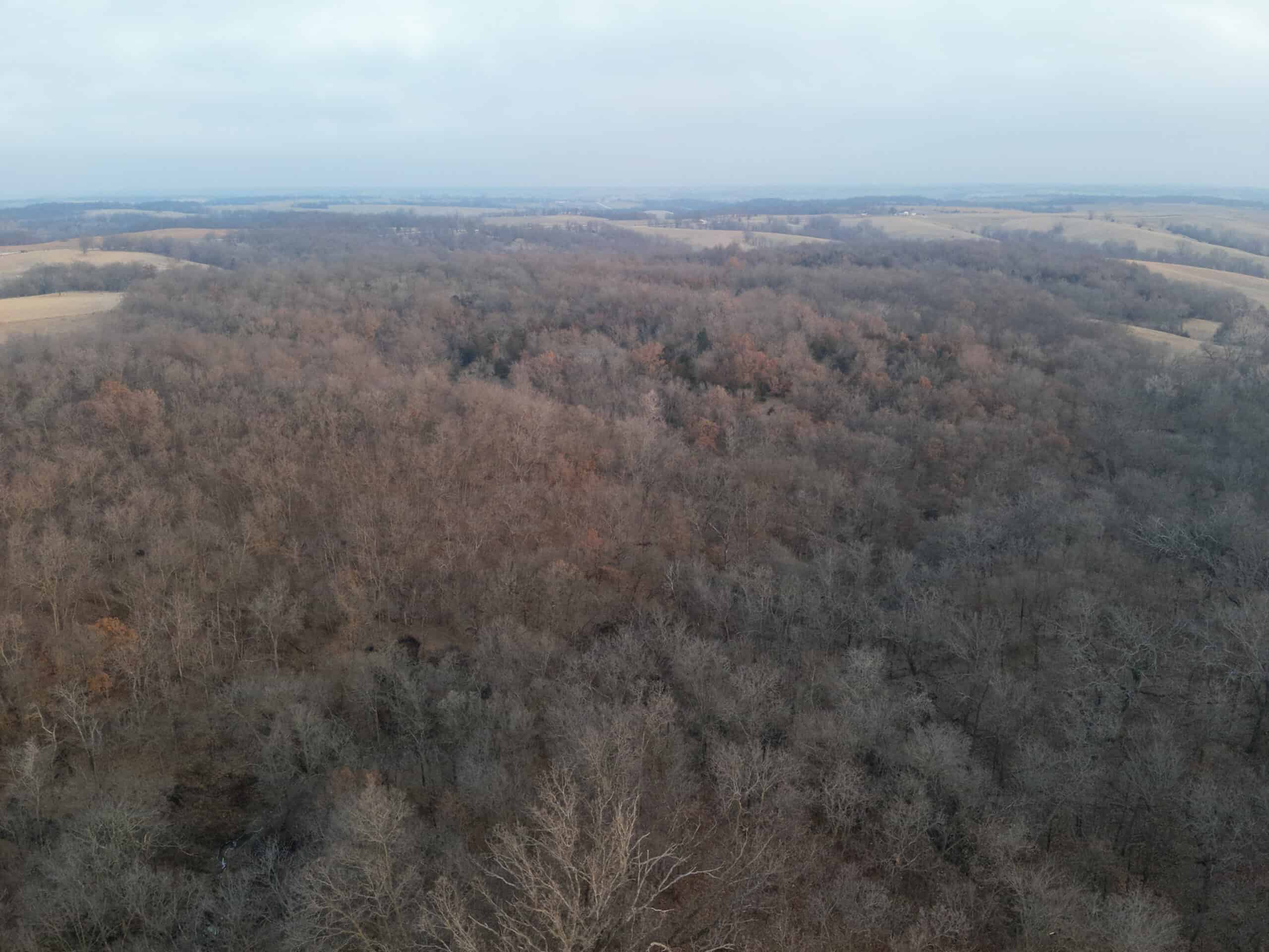 Monroe County 145 +/- Acres | Hunting & Recreational Farm
