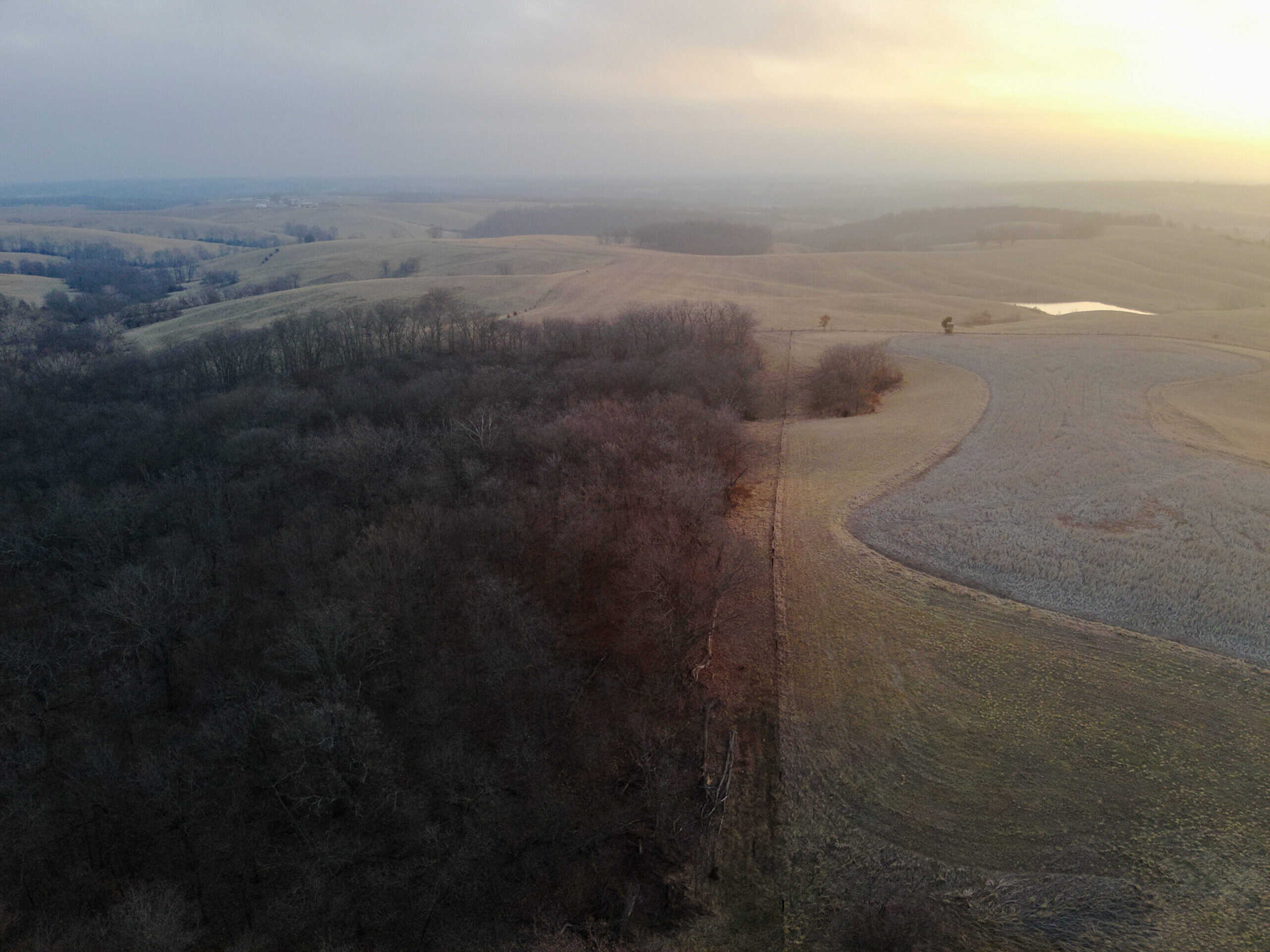 Monroe County 145 +/- Acres | Hunting & Recreational Farm