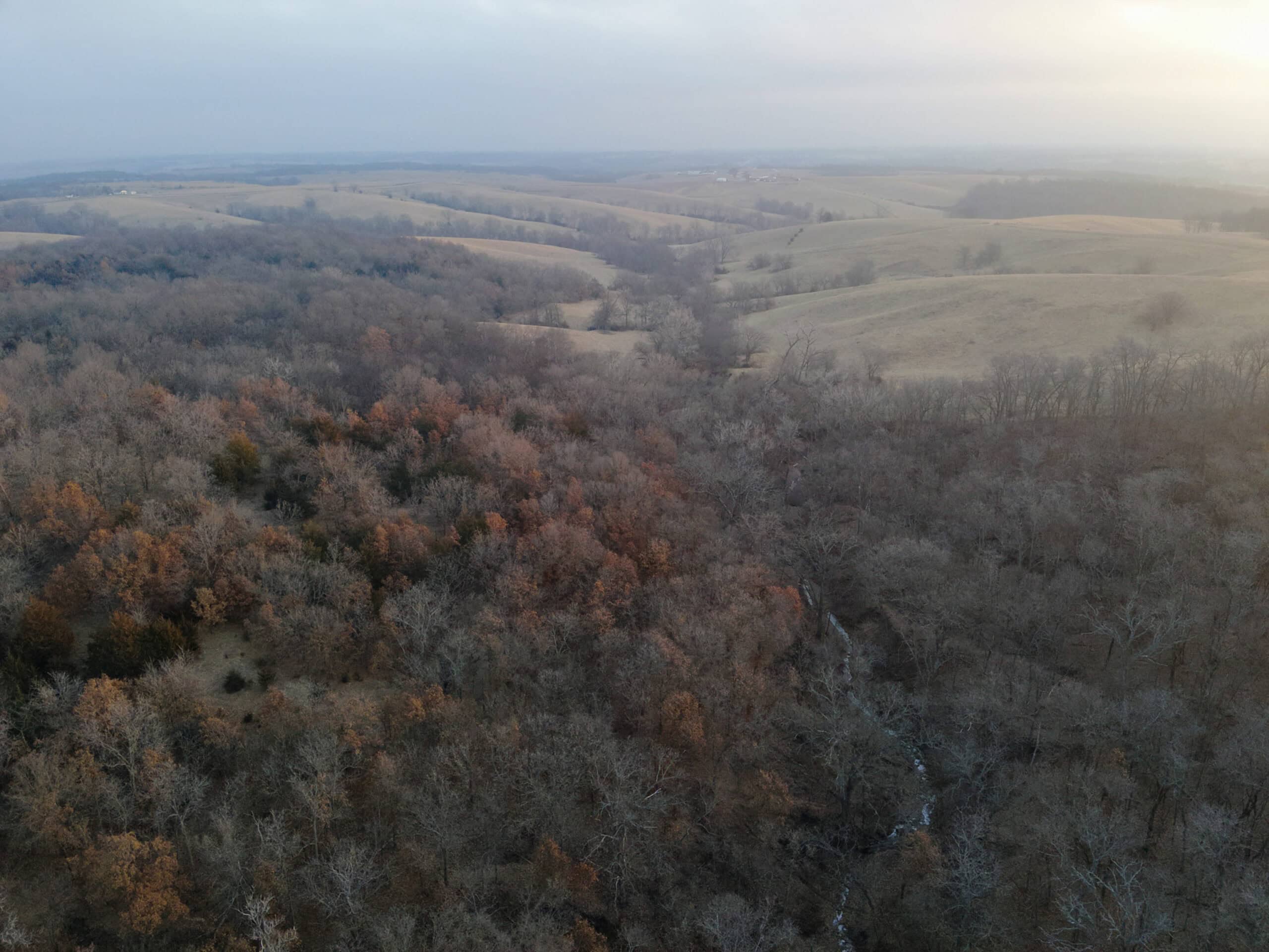 Monroe County 145 +/- Acres | Hunting & Recreational Farm