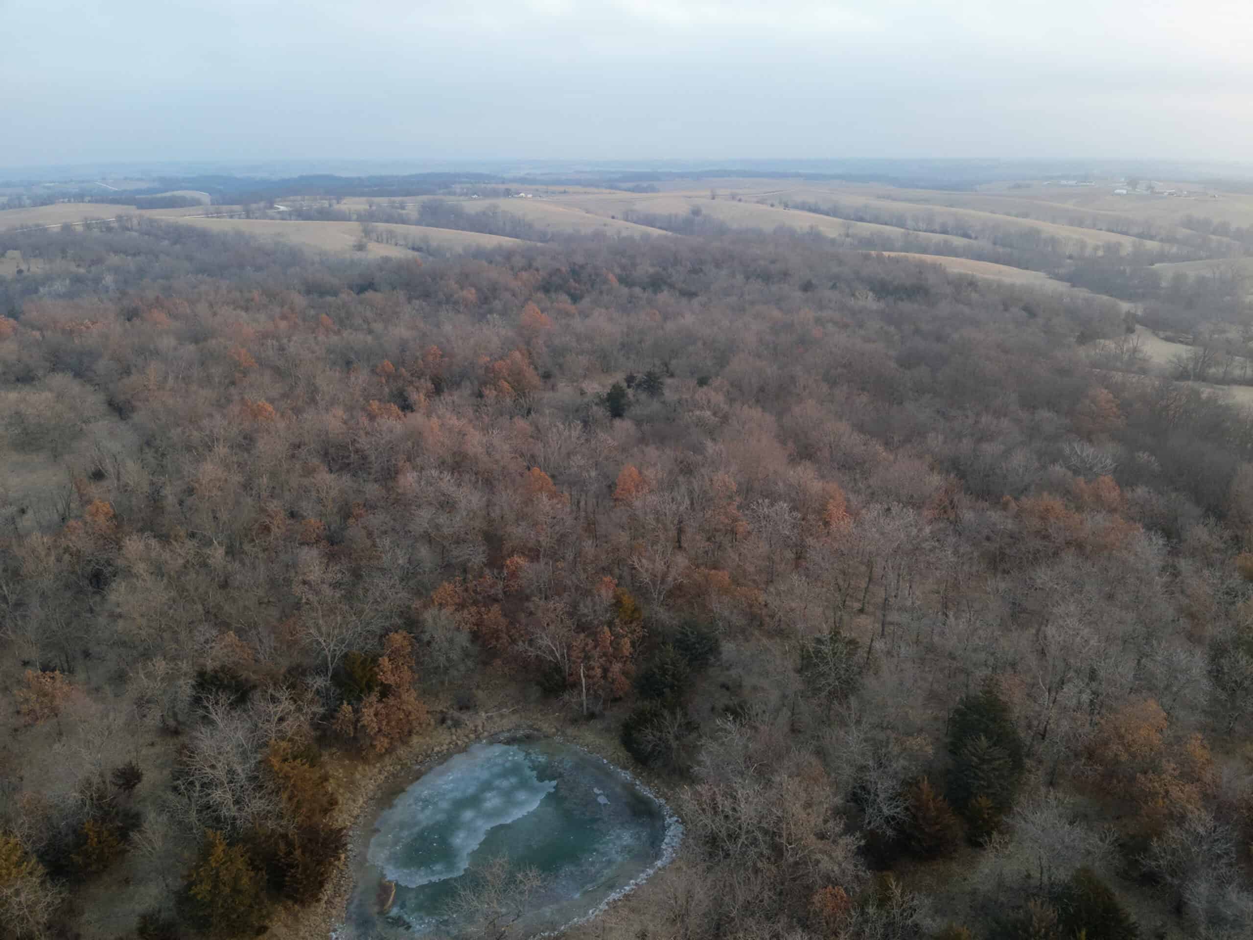 Monroe County 145 +/- Acres | Hunting & Recreational Farm