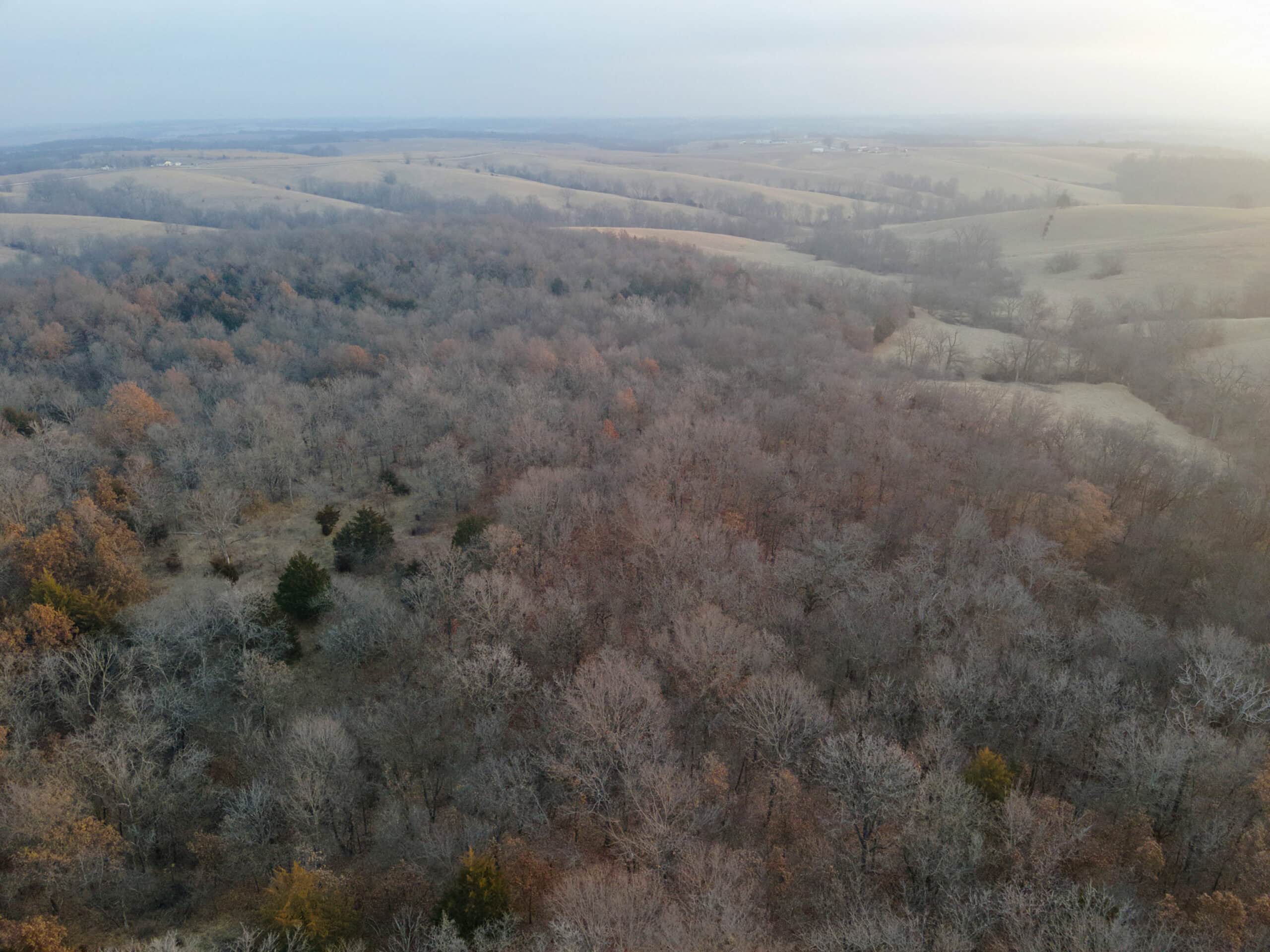 Monroe County 145 +/- Acres | Hunting & Recreational Farm