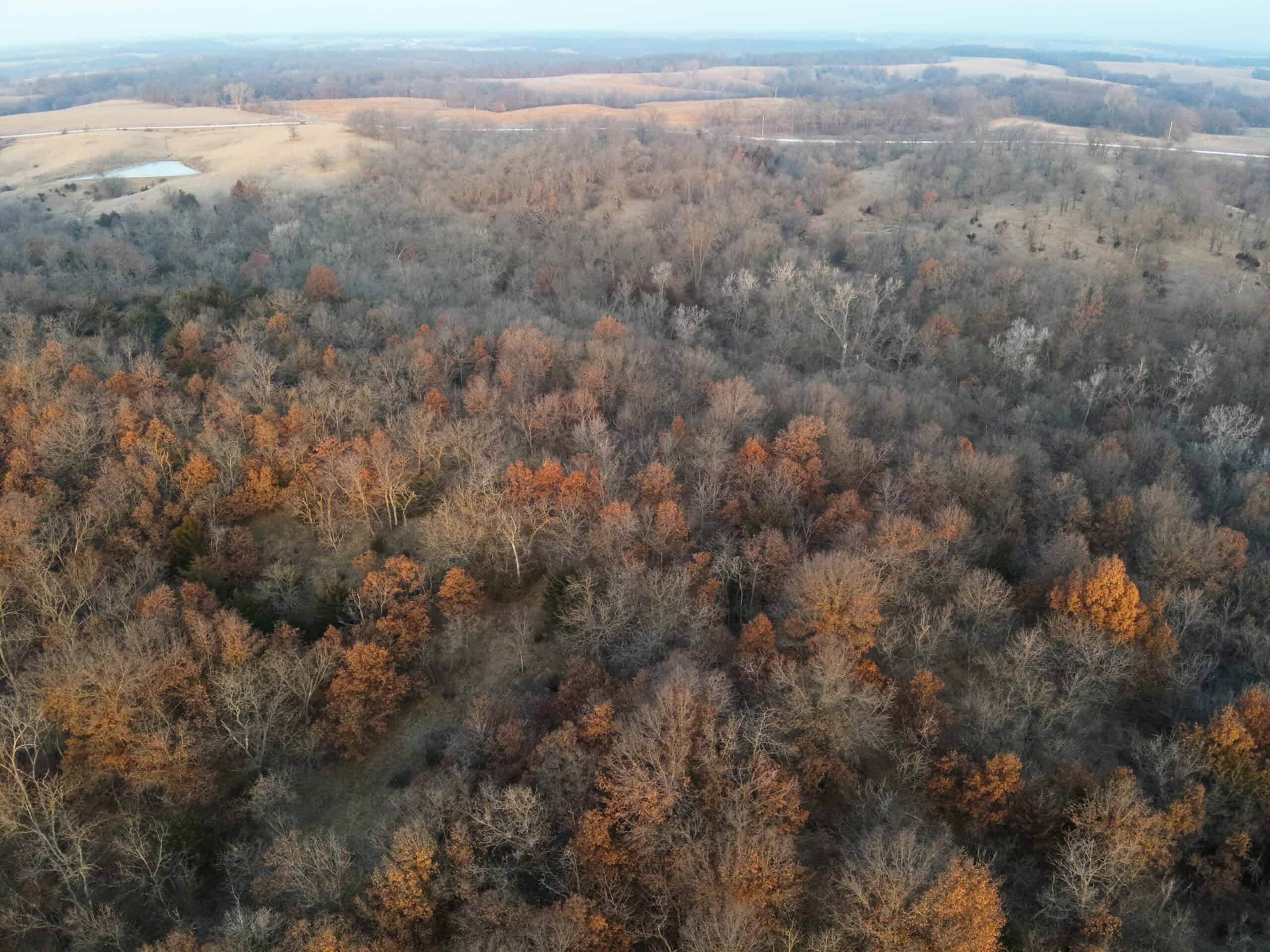 Monroe County 145 +/- Acres | Hunting & Recreational Farm