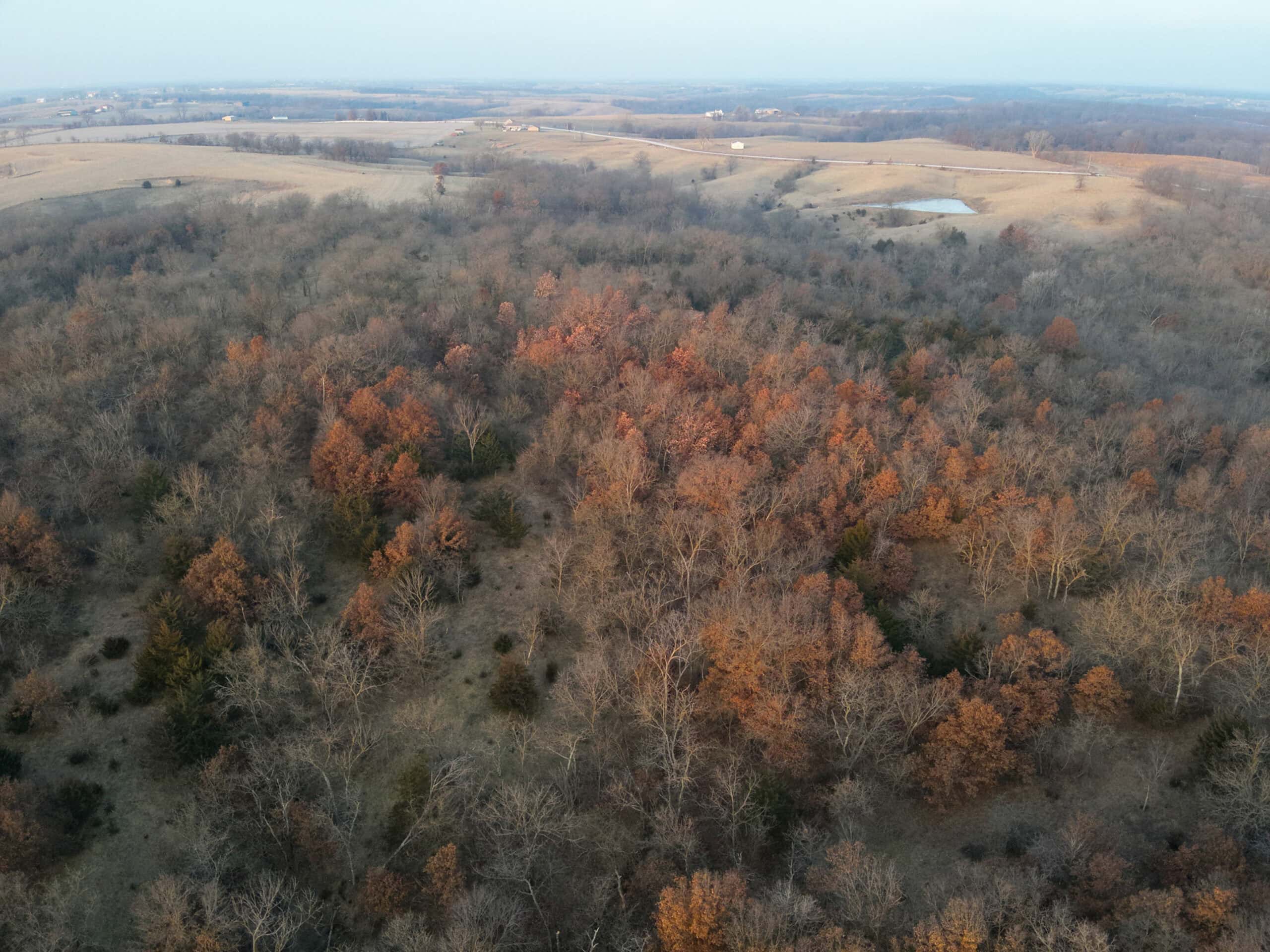 Monroe County 145 +/- Acres | Hunting & Recreational Farm