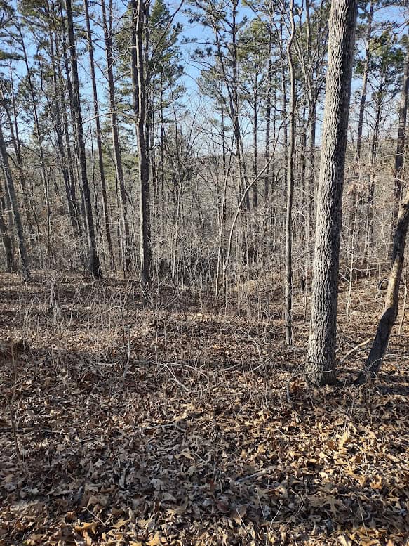 Shannon Cnty Mo Vacant Wooded Hunting Land For Sale near Eminence