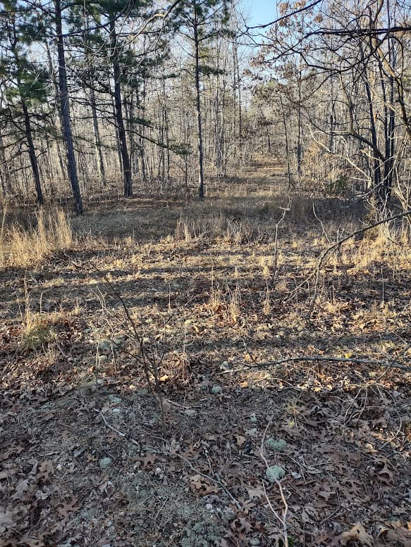Shannon Cnty Mo Vacant Wooded Hunting Land For Sale near Eminence