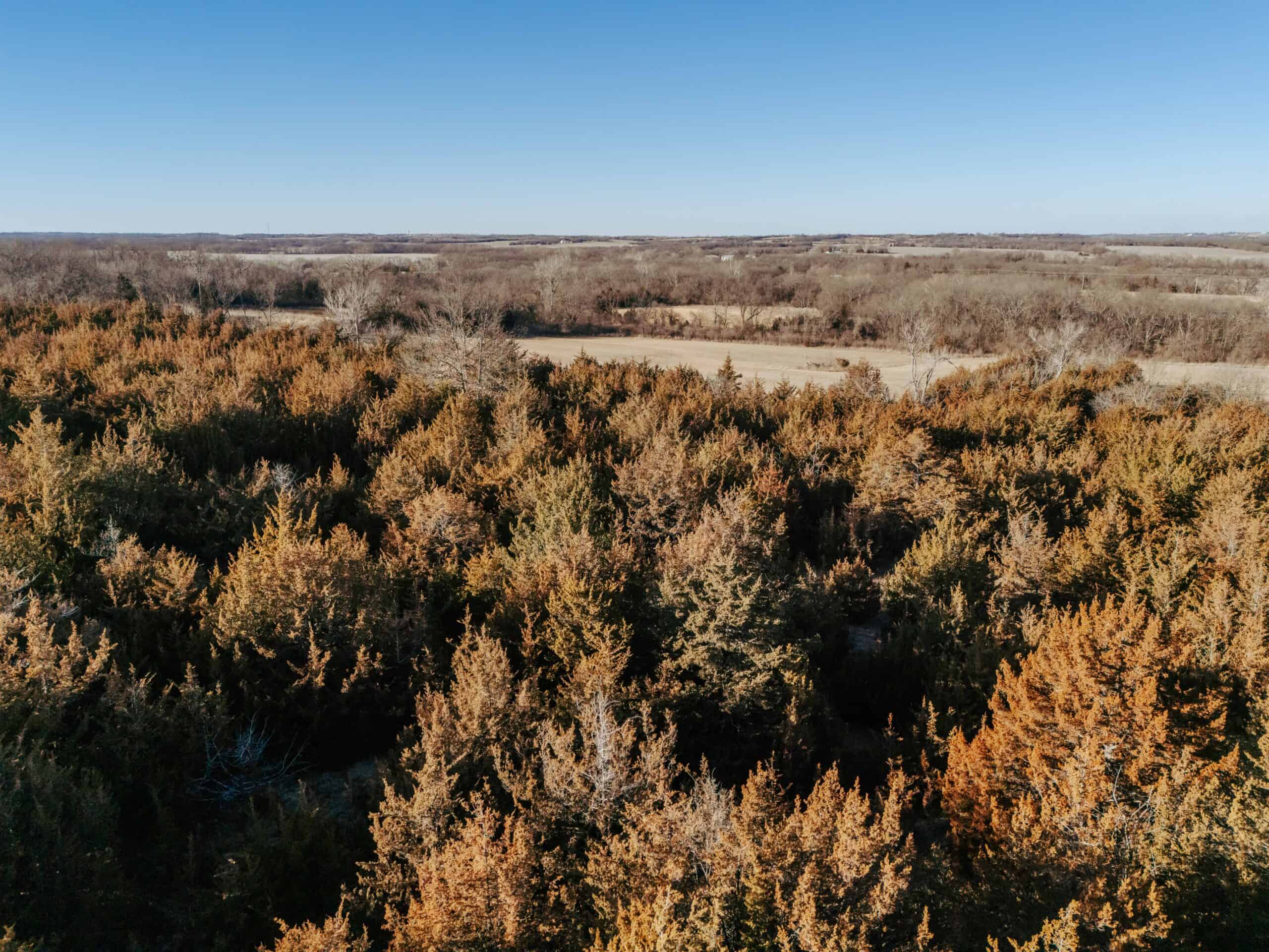 Osage County Kansas 156 Acres With Beautiful Barndomimium