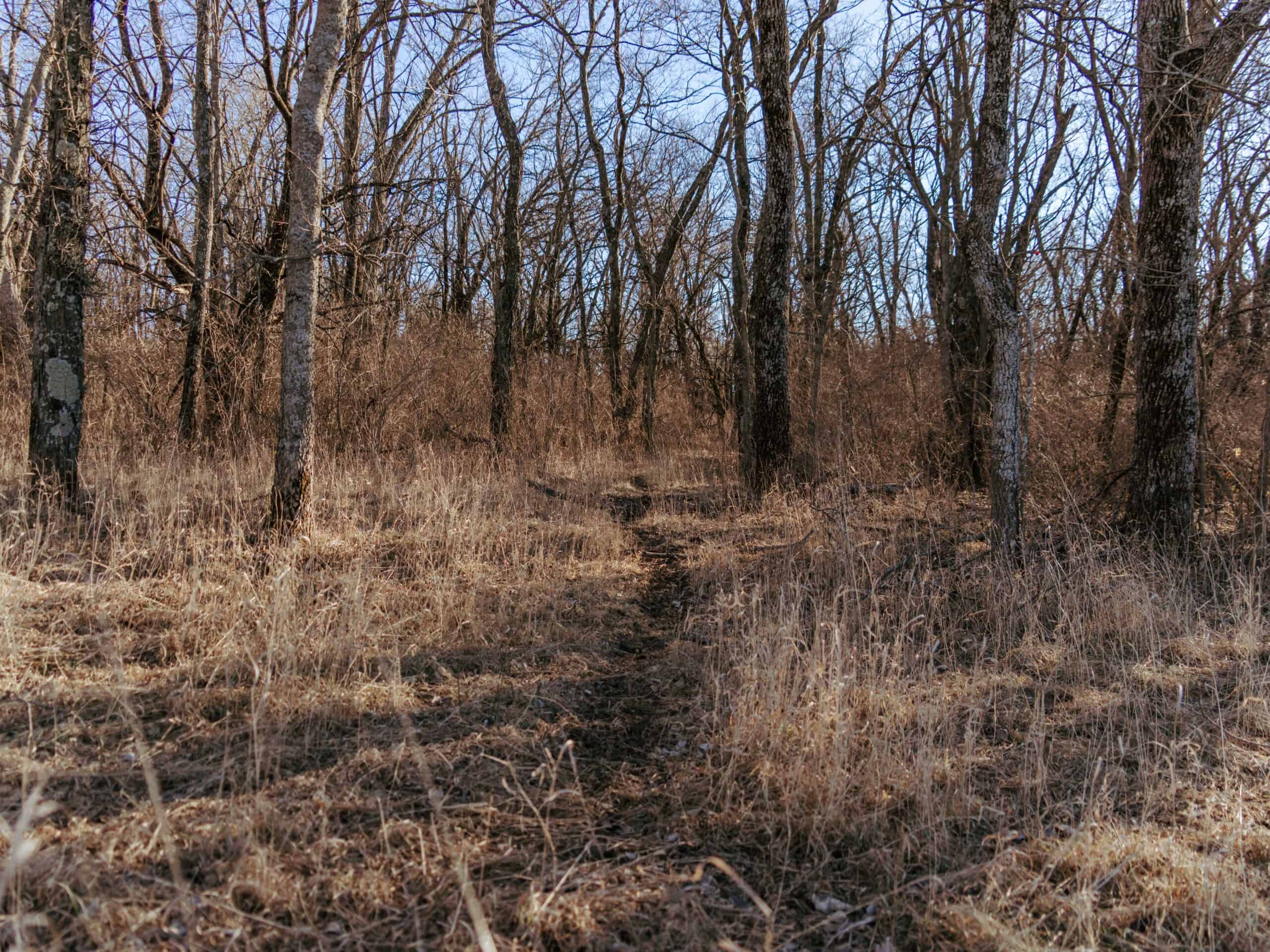 Osage County Kansas 156 Acres With Beautiful Barndomimium