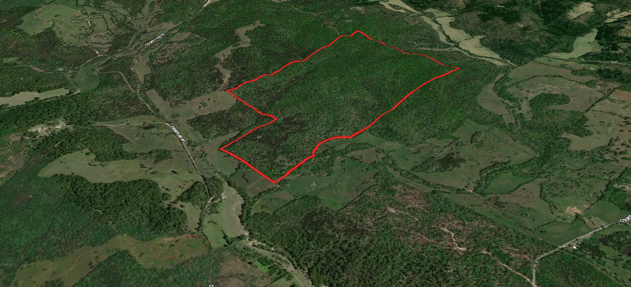 LAND WITH OFF-GRID CABIN FOR SALE IN NORTH CENTRAL ARKANSAS