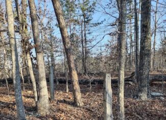 Shannon Cnty Mo Vacant Wooded Hunting Land For Sale near Eminence