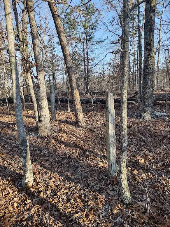 Shannon Cnty Mo Vacant Wooded Hunting Land For Sale near Eminence