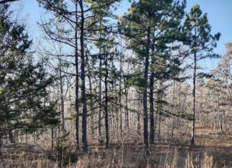 Shannon Cnty Mo Vacant Wooded Hunting Land For Sale near Eminence