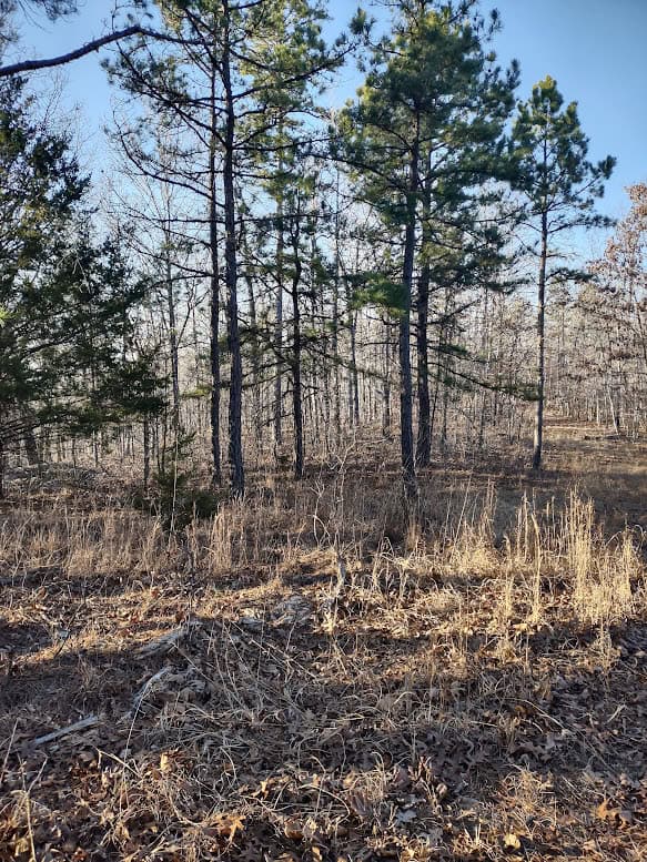 Shannon Cnty Mo Vacant Wooded Hunting Land For Sale near Eminence