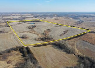 40 Acres in Northwest Harrison County, MO