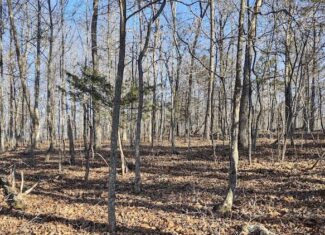 Shannon Cnty Mo Vacant Wooded Hunting Land For Sale near Eminence