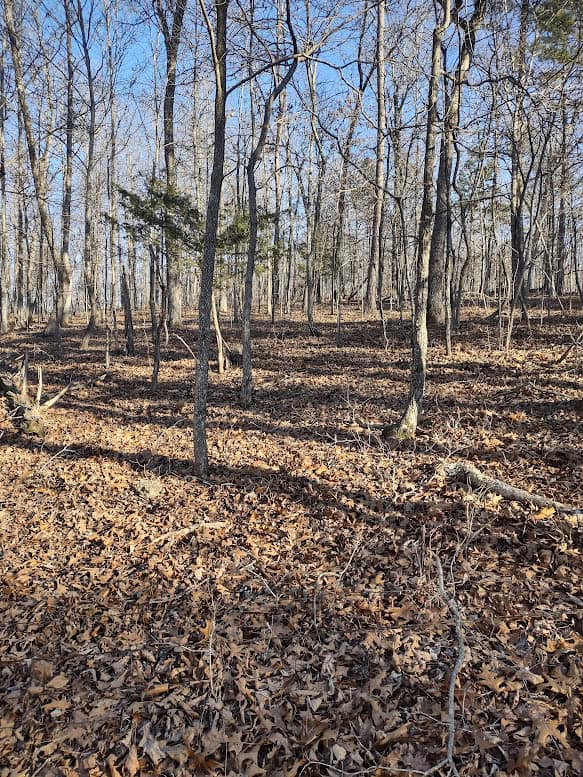 Shannon Cnty Mo Vacant Wooded Hunting Land For Sale near Eminence