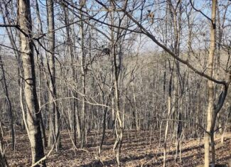 Shannon Cnty Mo Vacant Wooded Hunting Land For Sale near Eminence