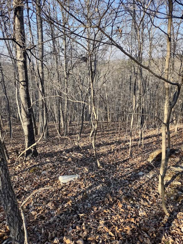 Shannon Cnty Mo Vacant Wooded Hunting Land For Sale near Eminence