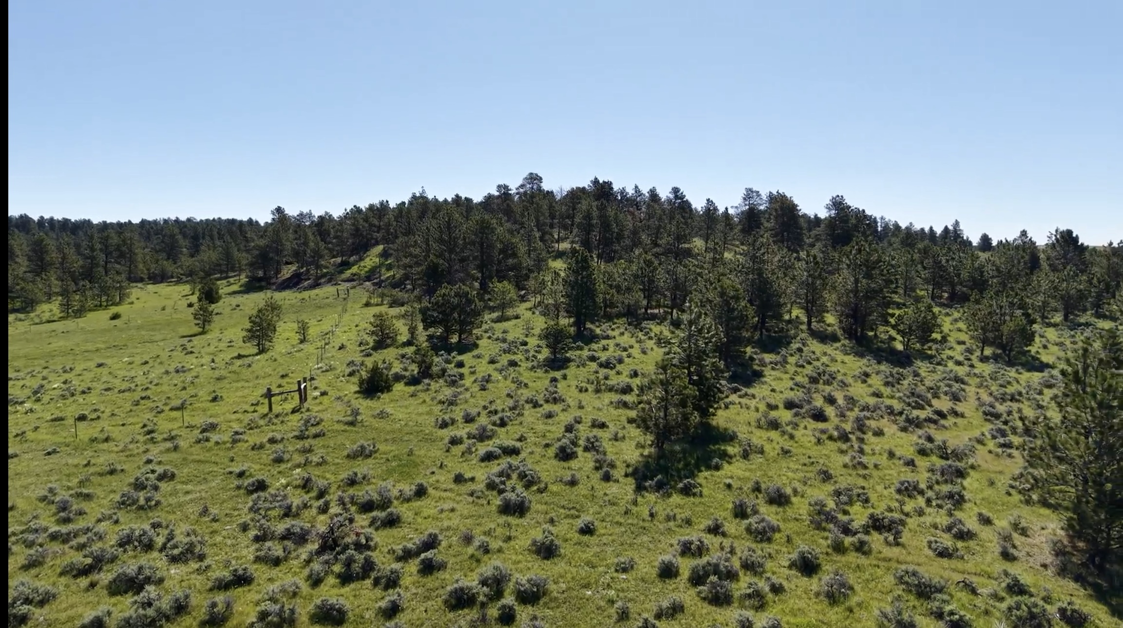 Newton Grove | Yellowstone County, Montana