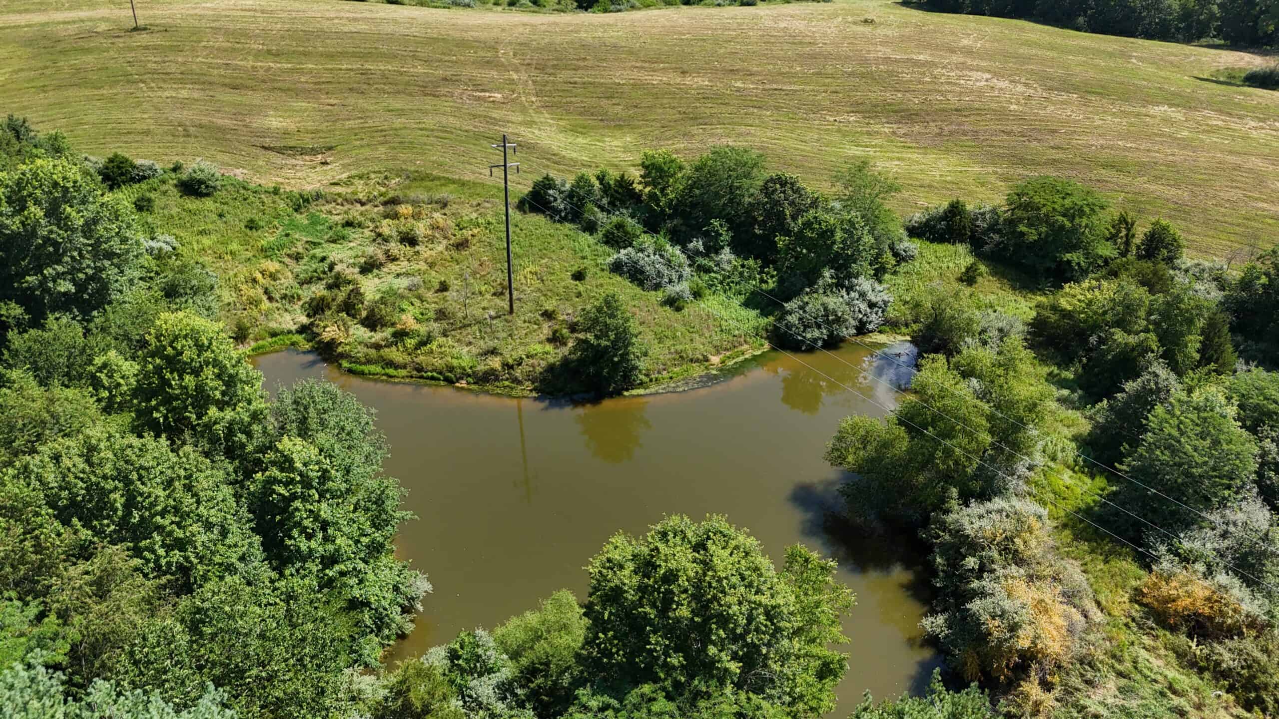 Outstanding Hunting Farm – 267 Acres in Lewis County, Missouri