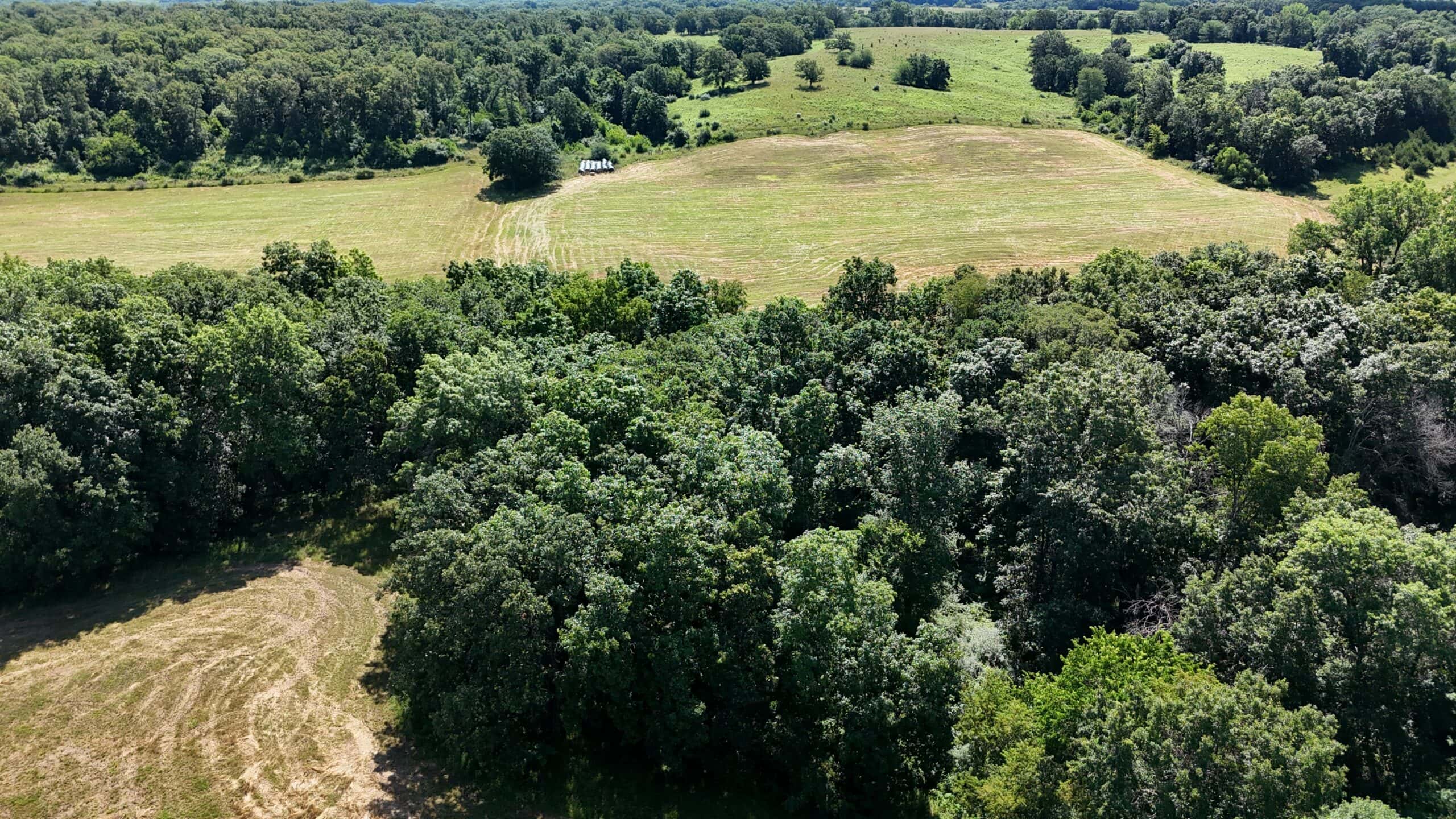 Outstanding Hunting Farm – 267 Acres in Lewis County, Missouri